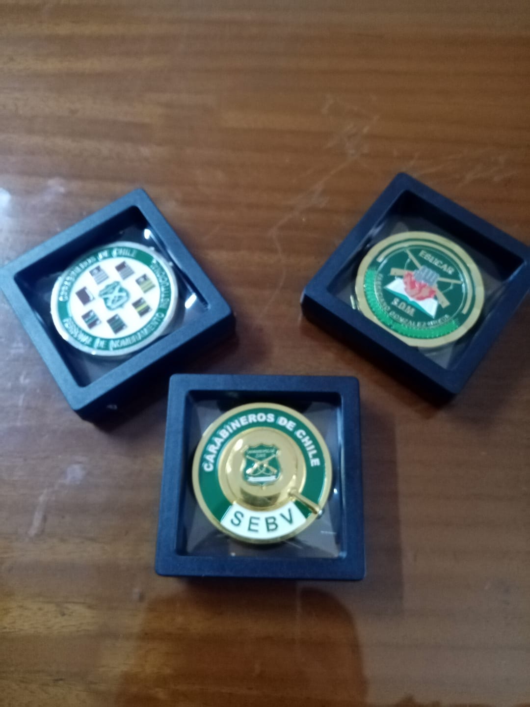 Customer photo review of MONEDA CARABINEROS DE CHILE ESCUADRÓN BLINDADO