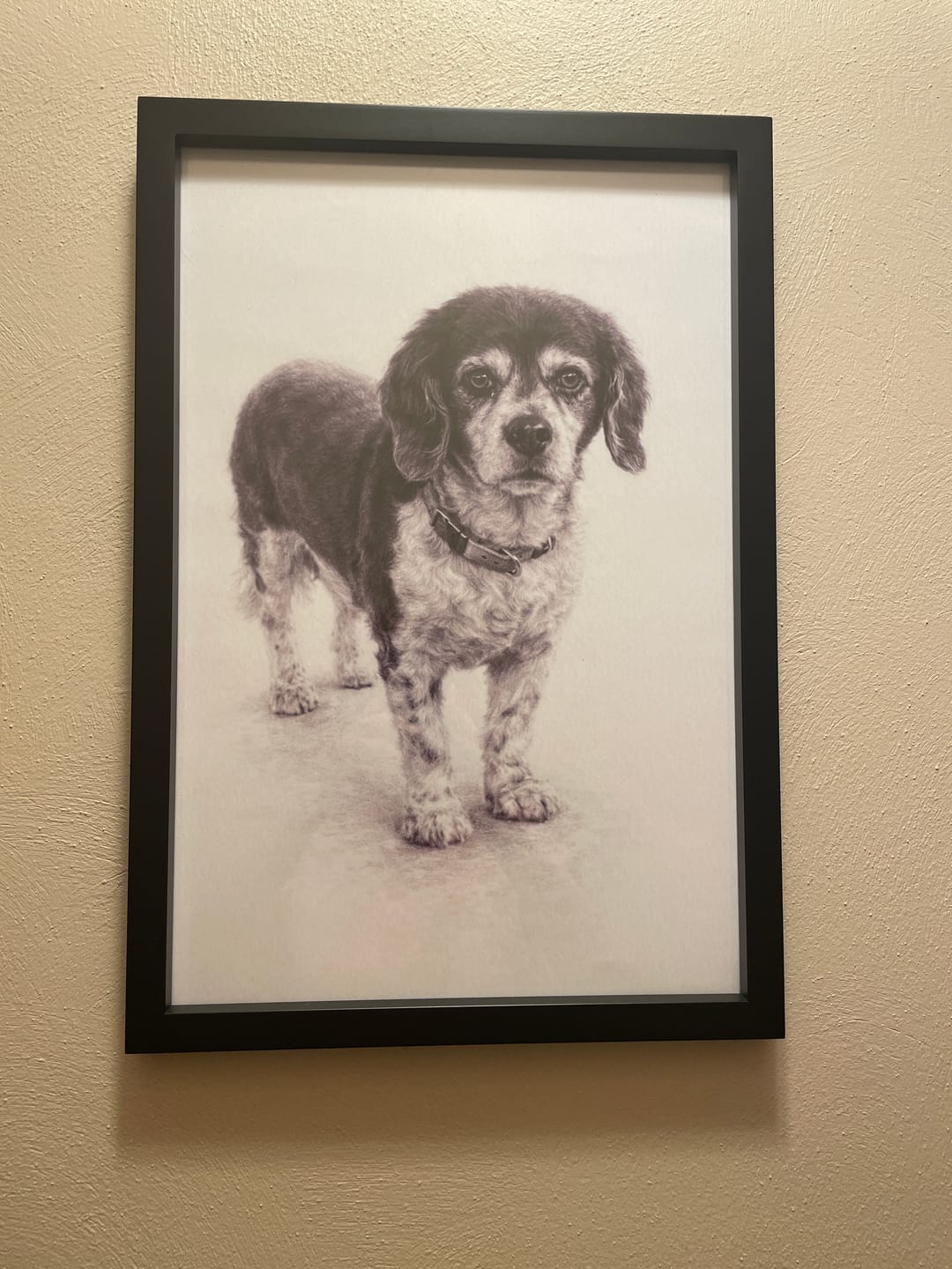 Customer photo review of Pencil Sketch - Personalized Poster
