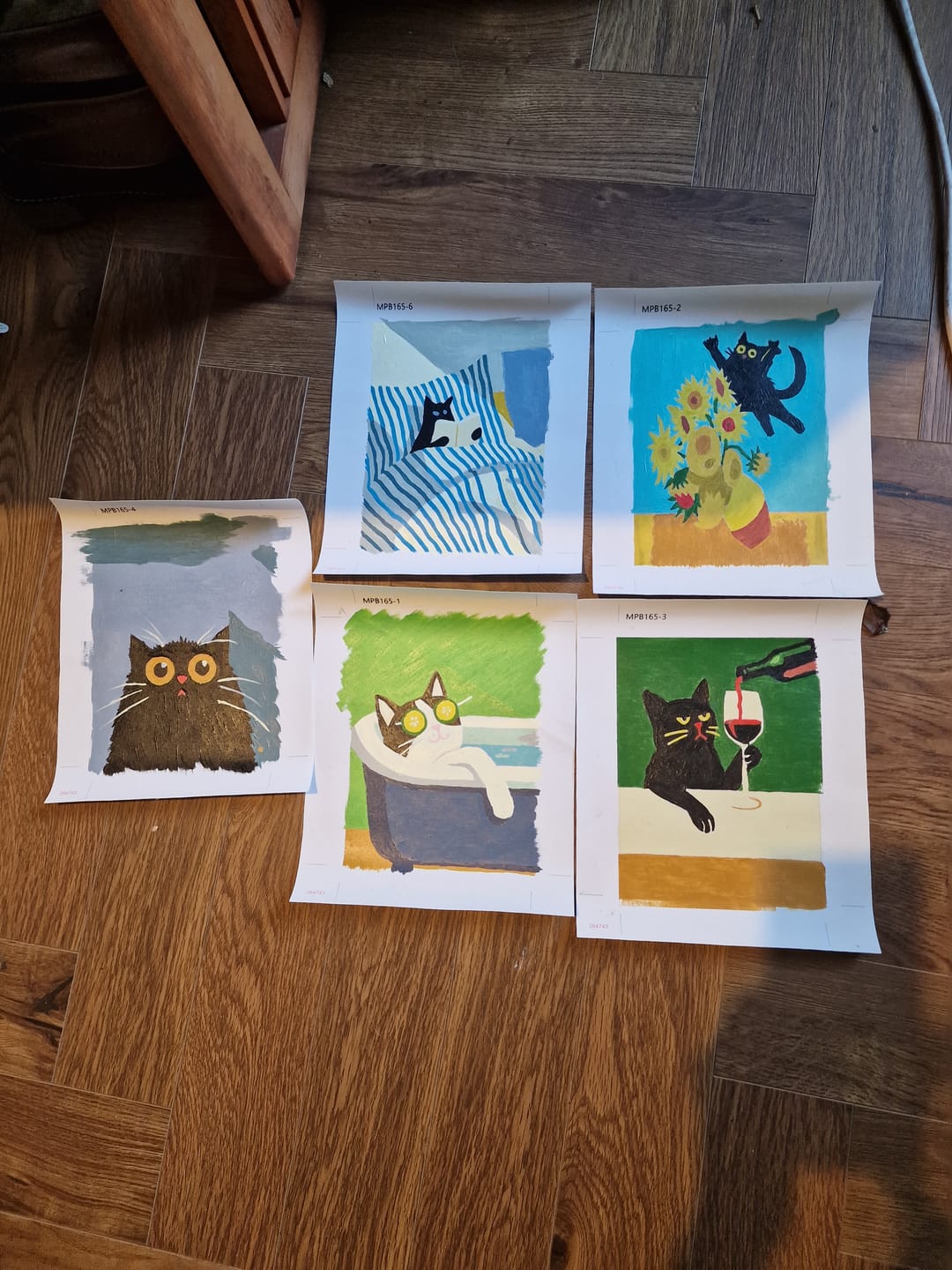Customer photo review of 6 Mini Paintings - Crazy Cat Set
