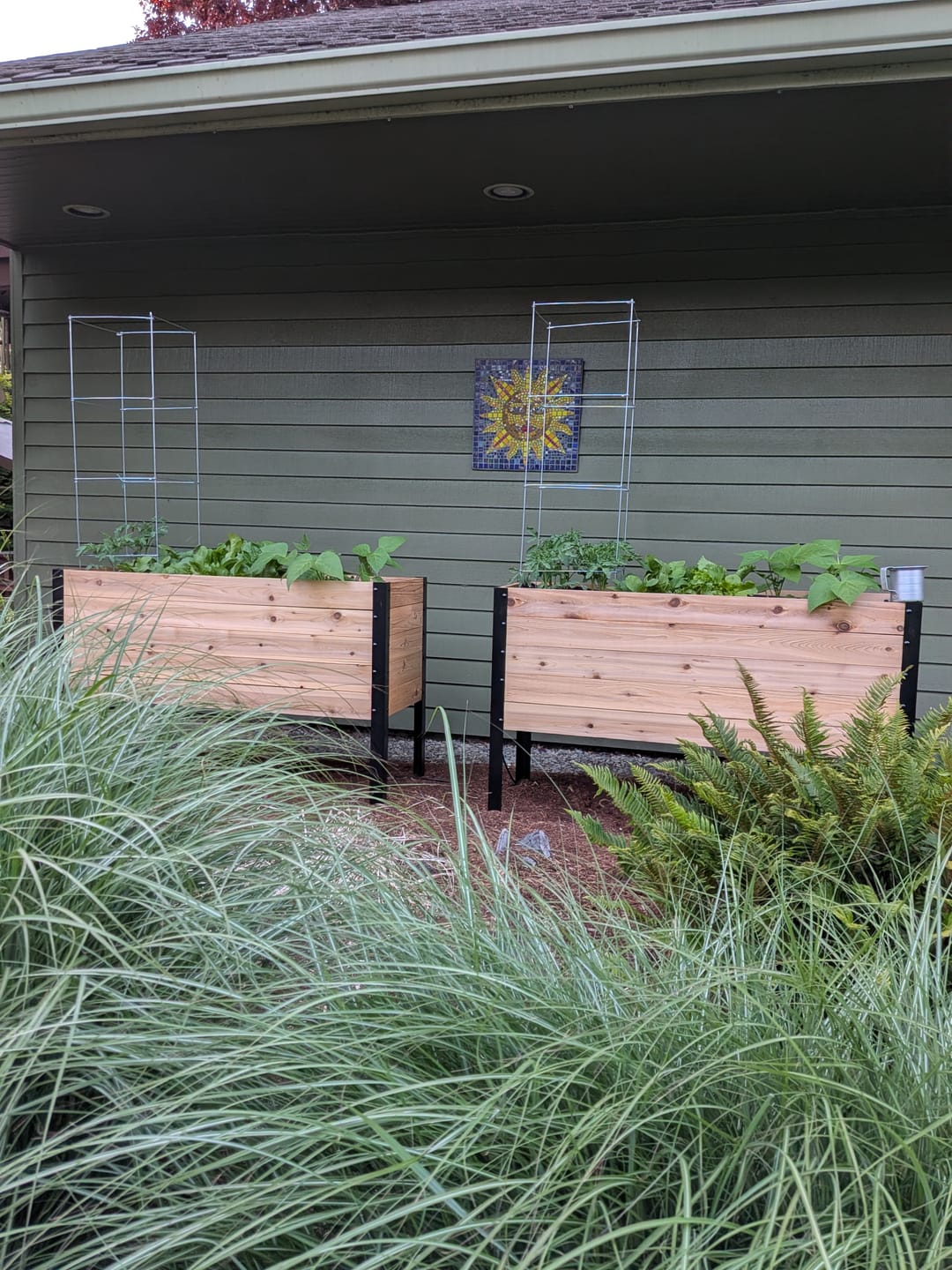 Customer photo review of 18" x 48" Raised Garden Bed - 30" TALL / Garden Grade