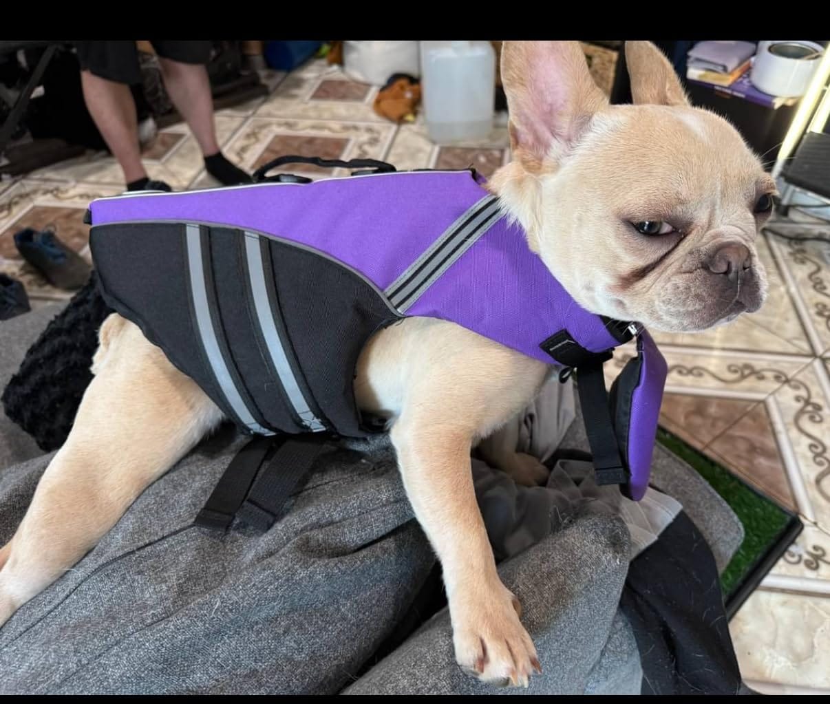 Customer photo review of FloatPaw™ Life Jacket
