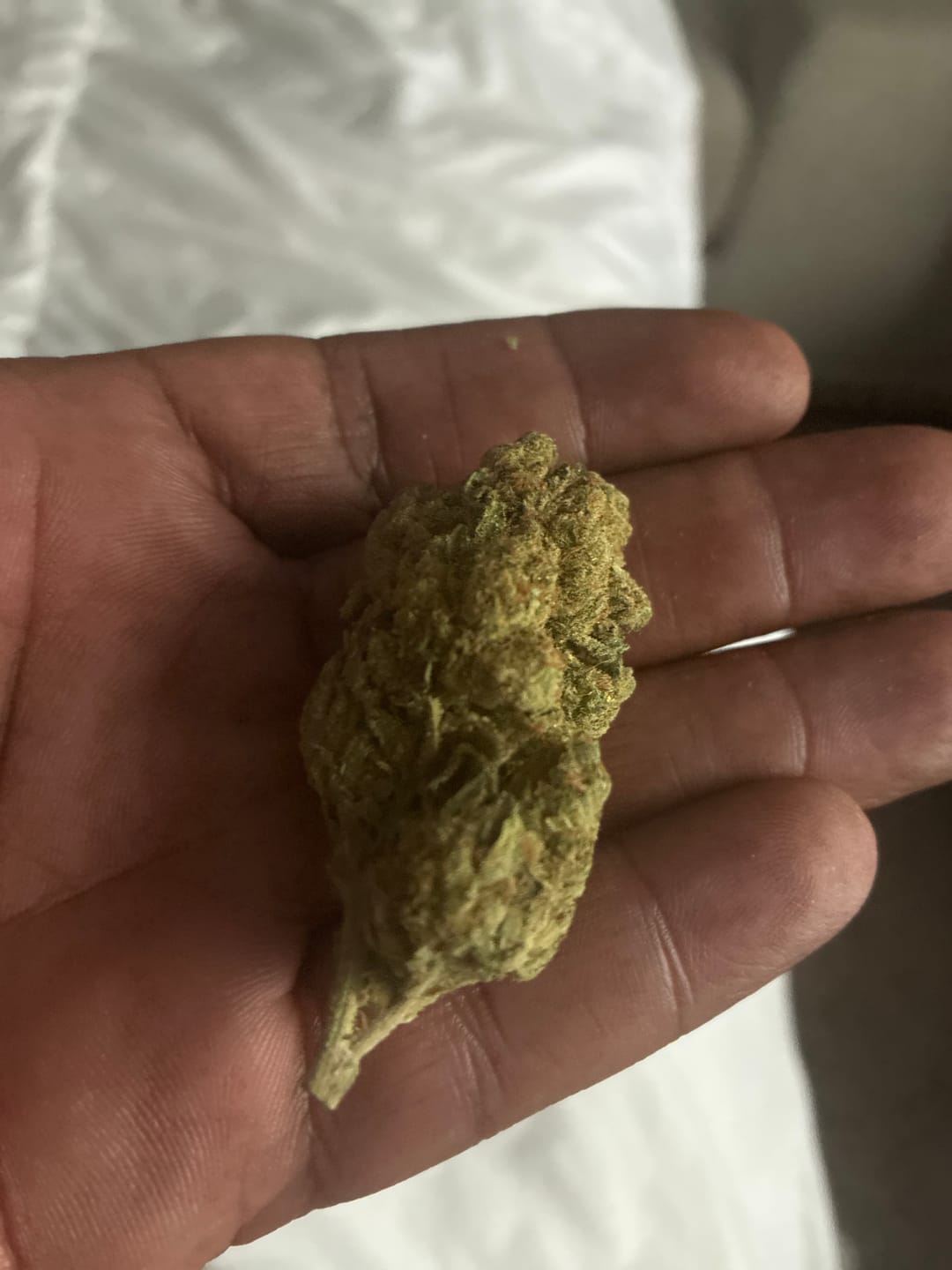 Customer photo review of Alien OG - Bulk - Indica