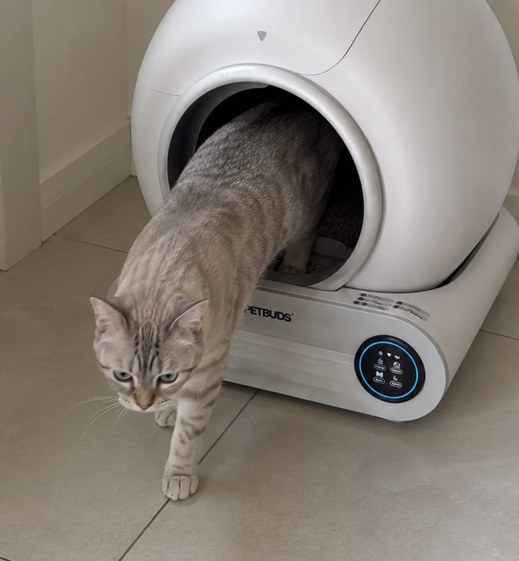 Customer photo review of Petbuds™ Pro 2026 Automatic Self-Cleaning Litter Box