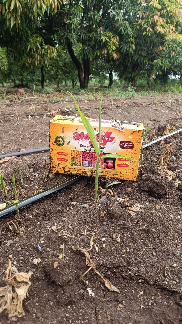 Customer photo review of Amrut Plus Seed Treatment Kit