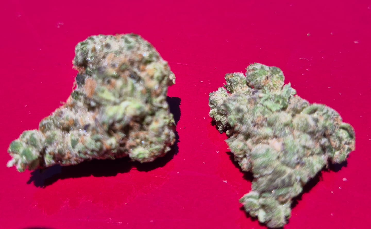 Customer photo review of Indoor Exotics - Hashburger - 28 Grams - Indica