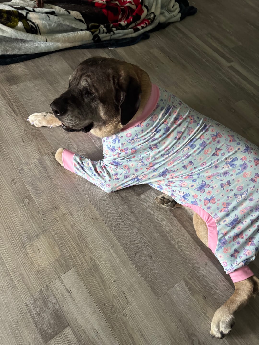 Customer photo review of Dog Pajama - Butterfly