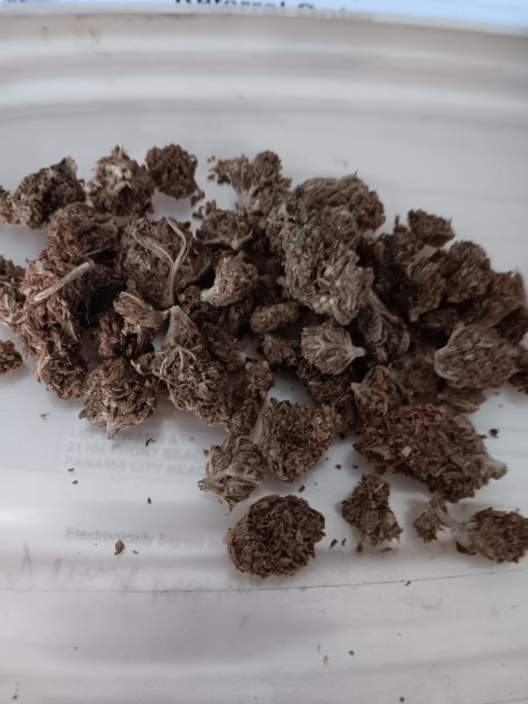 Customer photo review of Acapulco Gold - Bulk - Sativa