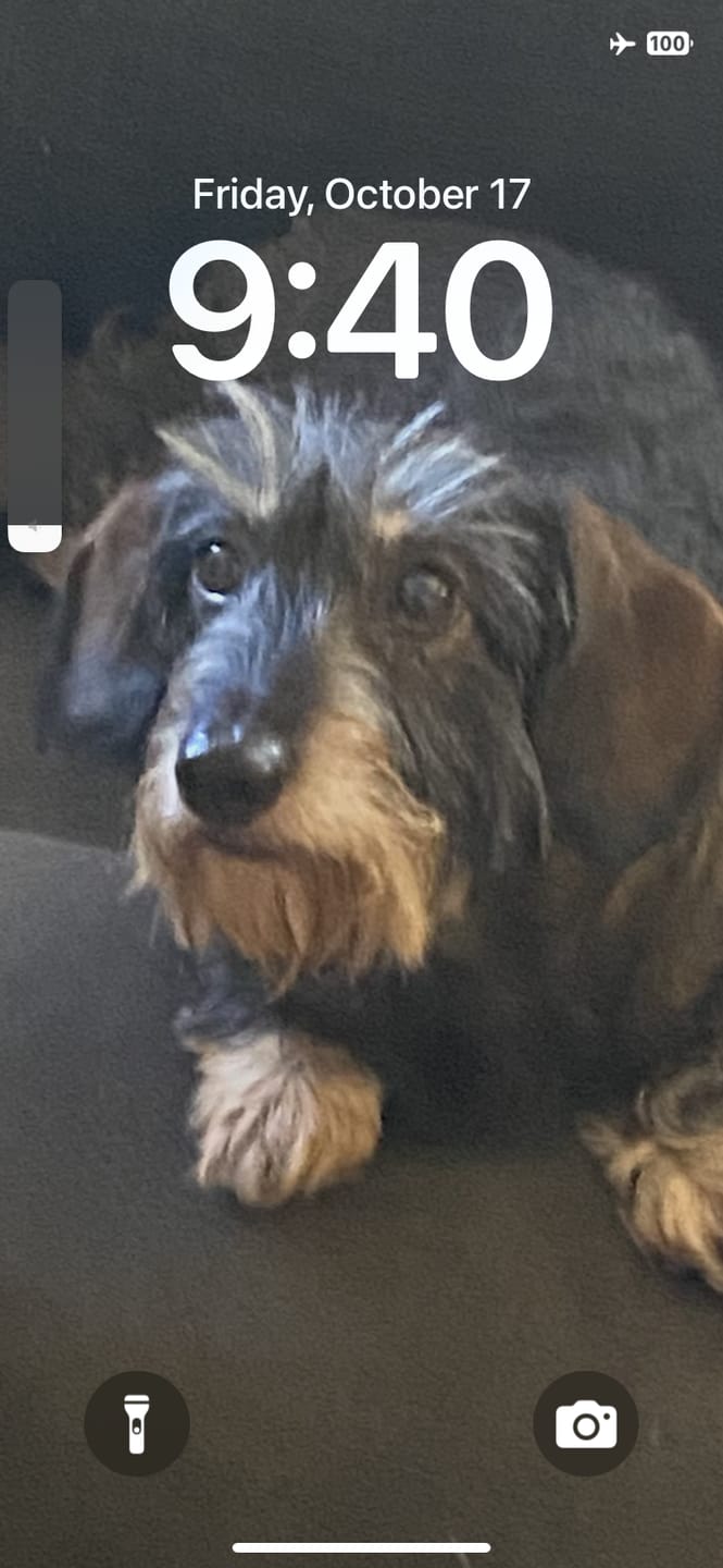 Customer photo review of Iron Paws Daily Human-Grade Superfood For Dogs