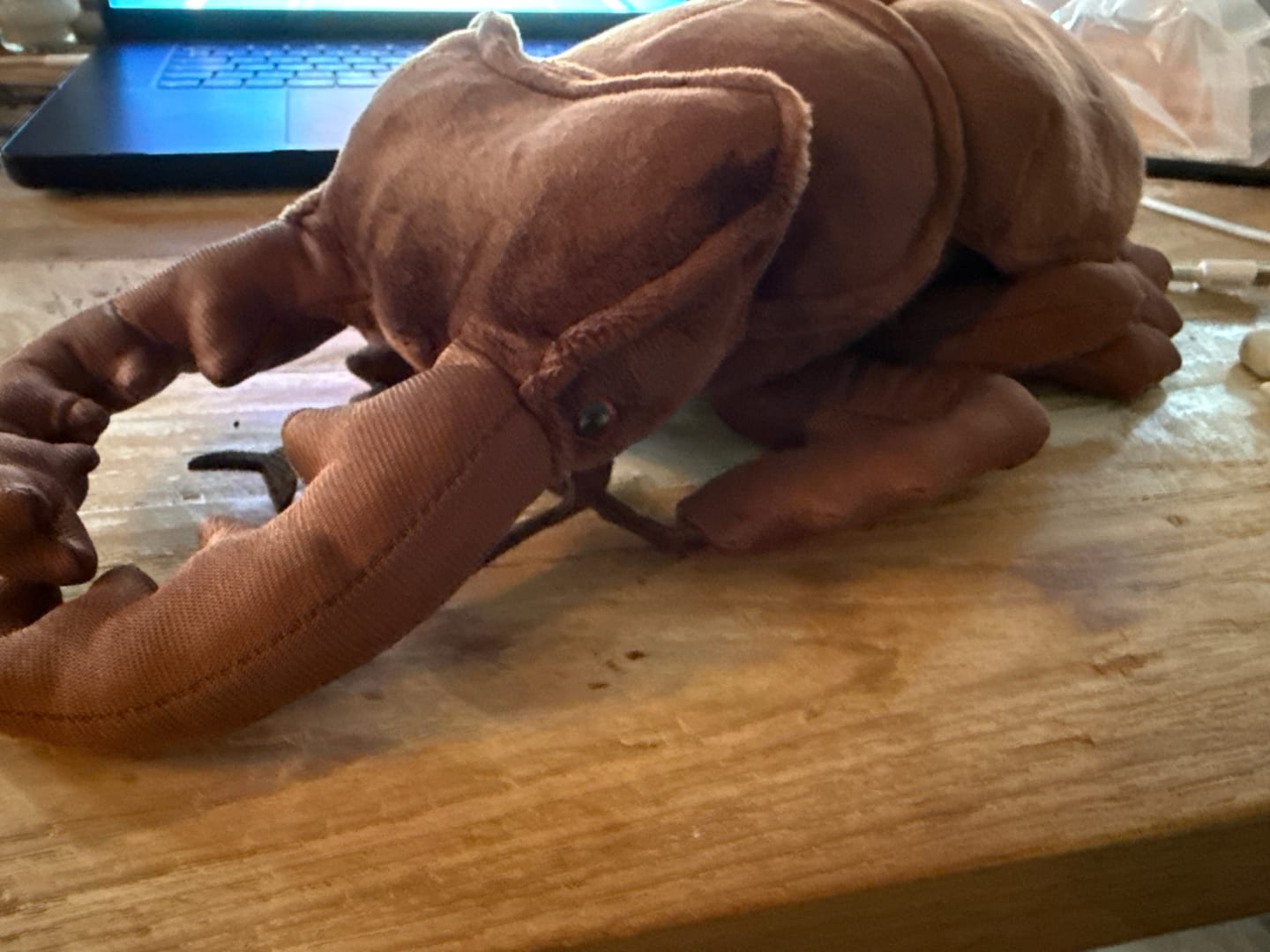 Customer photo review of Stag Beetle Soft Stuffed Plush Toy