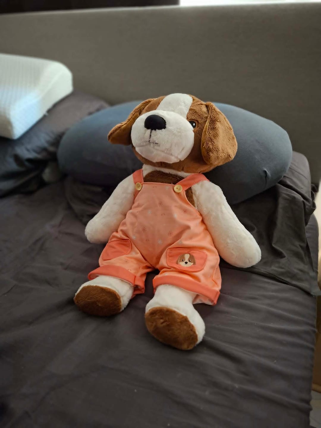 Customer photo review of Hond Kleding Lente Lotgenootje
