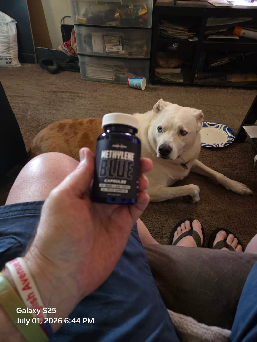Customer photo review of Damn Good™ Methylene Blue Capsules - 60 Capsules (30 Servings)