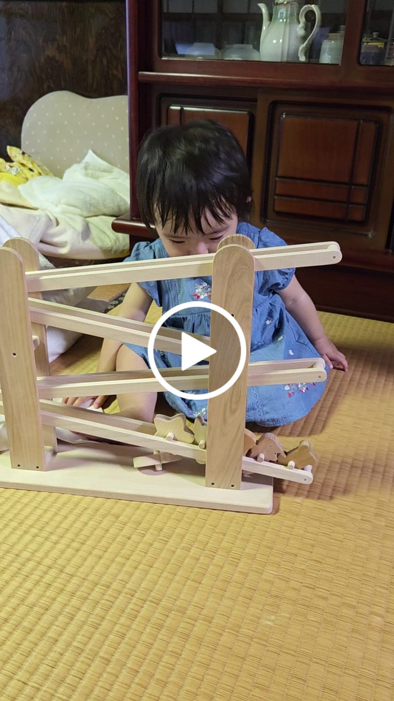 Customer video review of ころころ動物