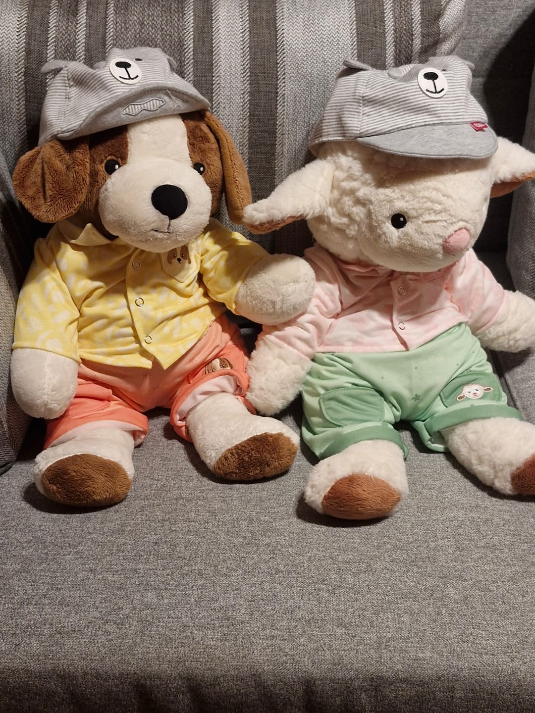 Customer photo review of Hond Kleding Zomer Lotgenootje