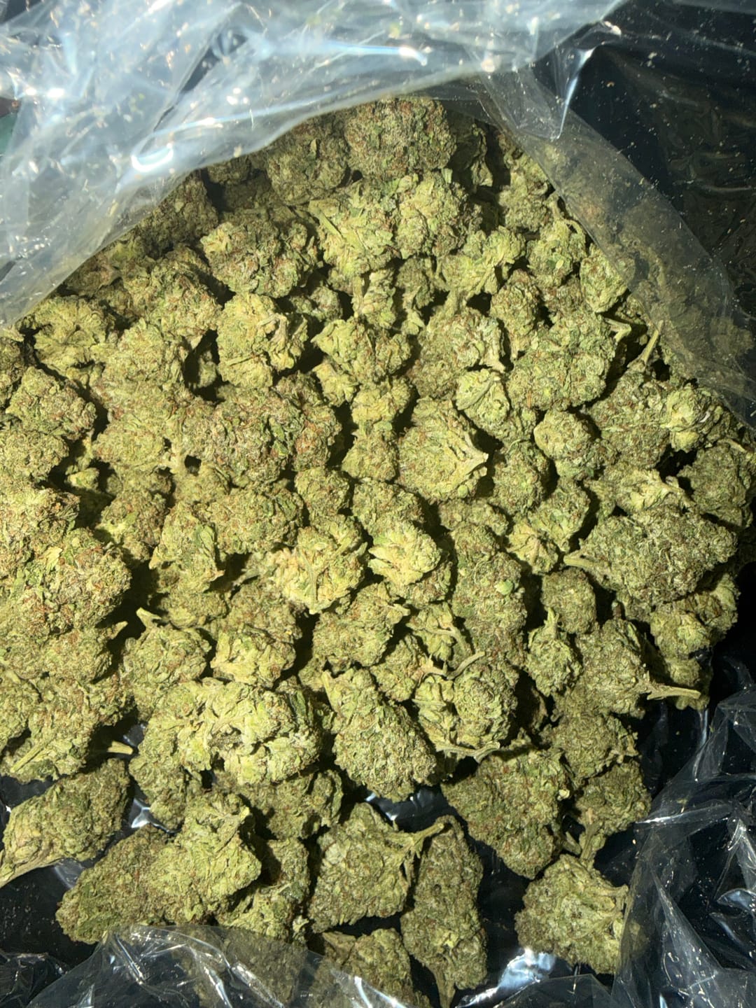 Customer photo review of Ice Cream Cake - Bulk - Indica