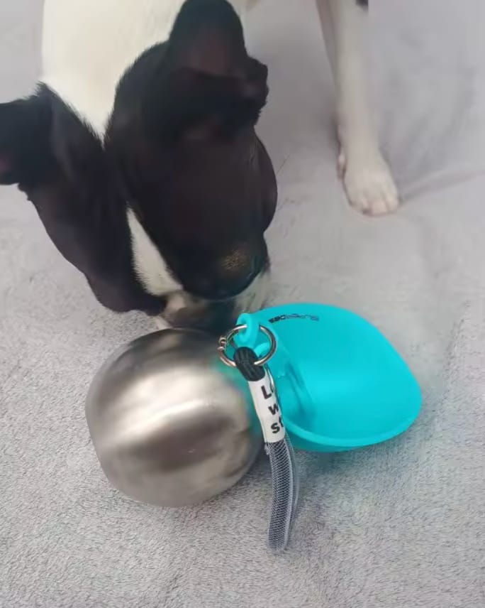 Customer photo review of Botella de Agua para Perros.