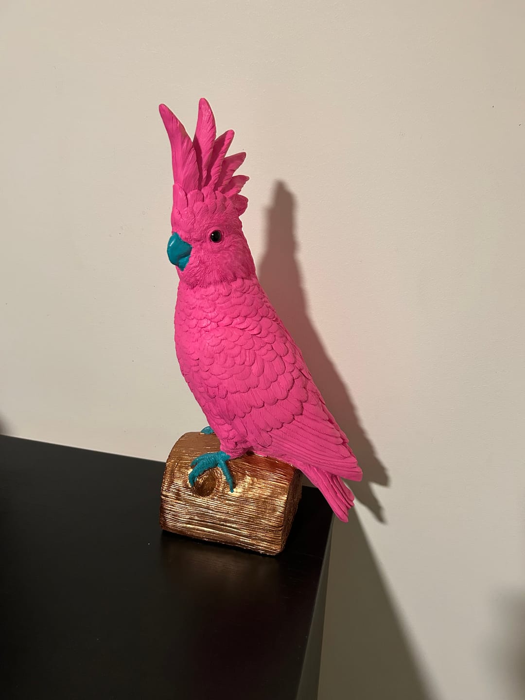 Customer photo review of Pablo Parrot - Hot Pink