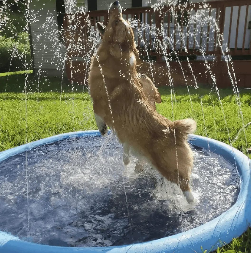 Customer photo review of AquaPlay Cooling Mat – Rafraîchissez votre chien et transformez son été