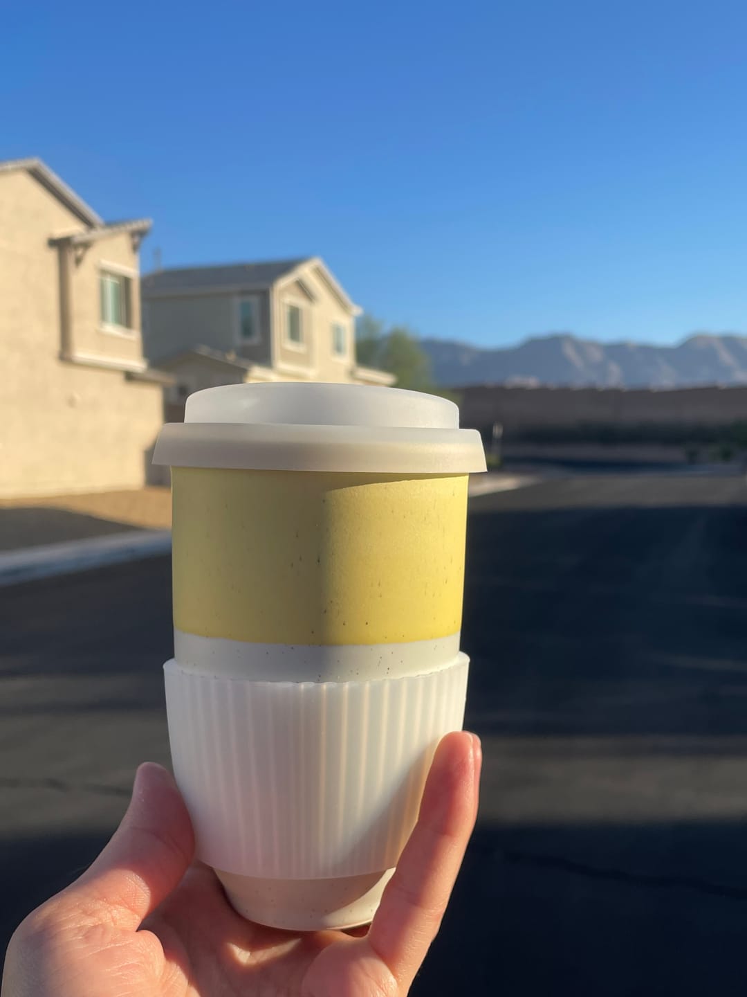 Customer photo review of Lemon Cup 12oz