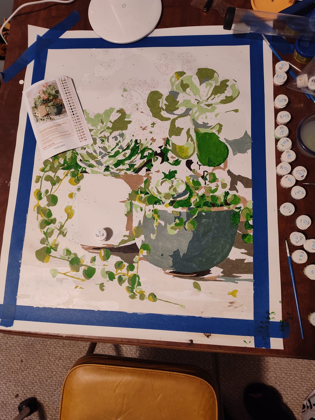 Customer photo review of Spring Succulents | Paint by Number