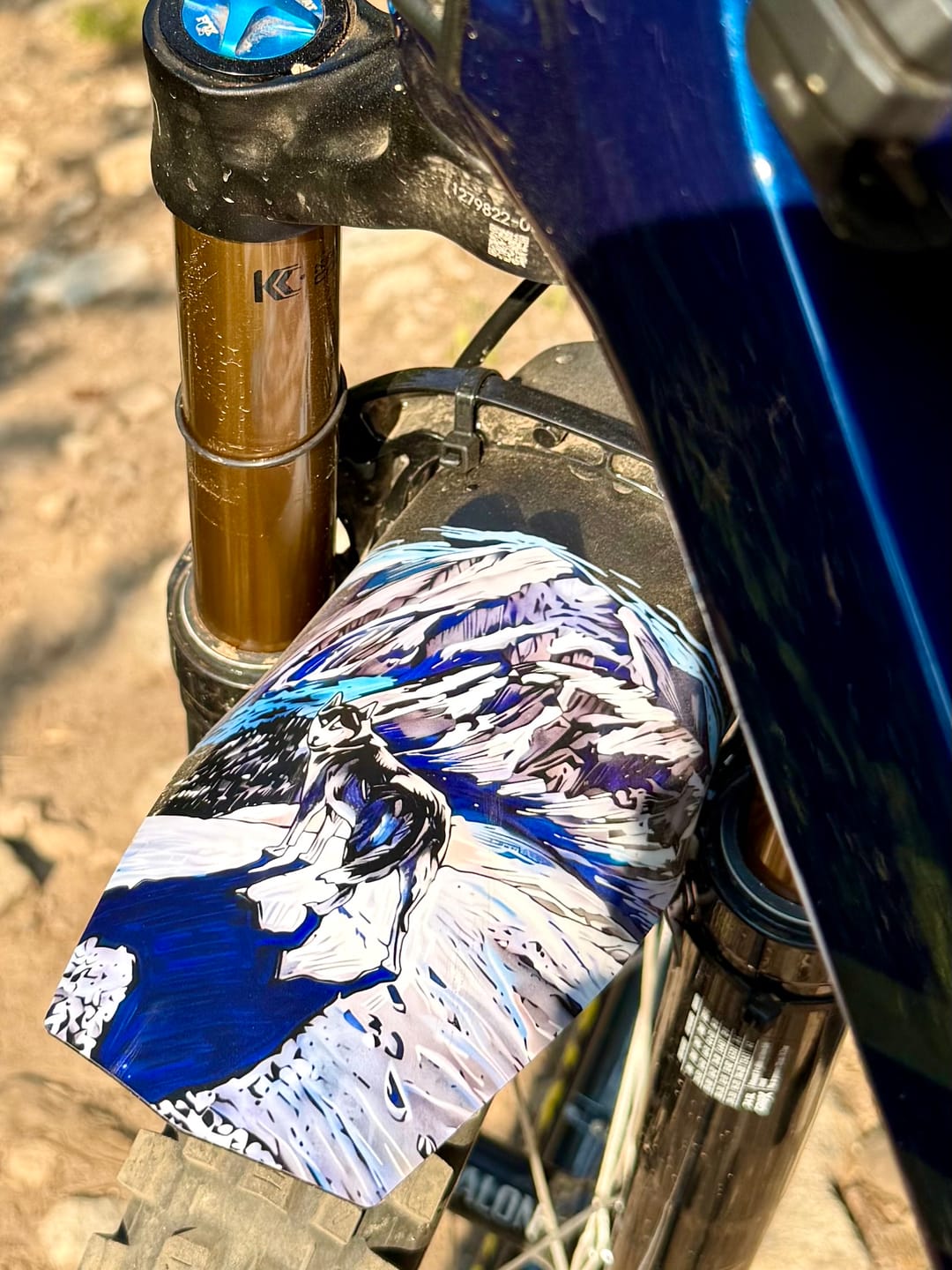 Customer photo review of Custom Fender