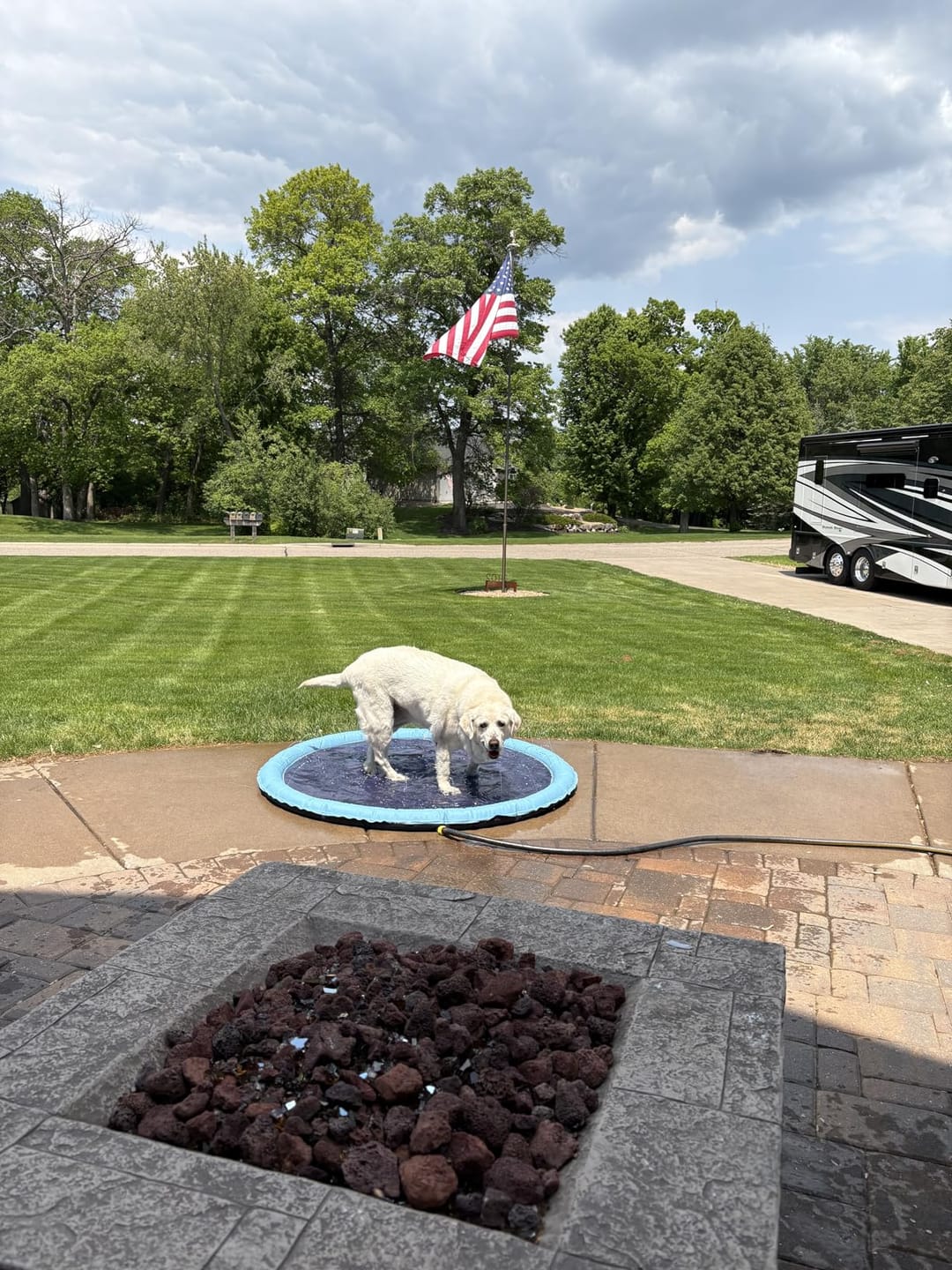 Customer photo review of AquaPlay Cooling Mat – Rafraîchissez votre chien et transformez son été