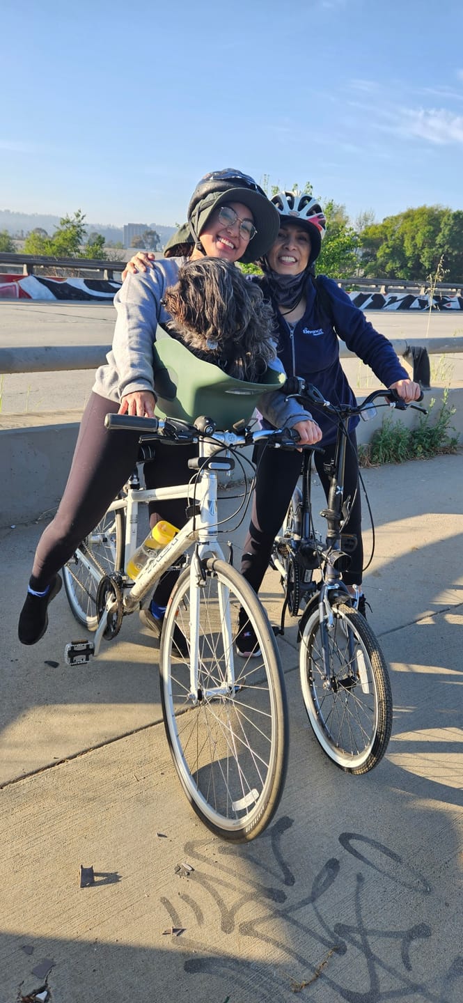 Customer photo review of Kvisp Dog Bike Carrier (Refurbished)