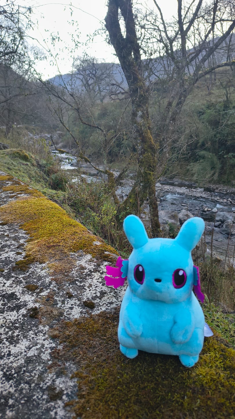 Customer photo review of Rain World - Rivulet Slugpup Plush