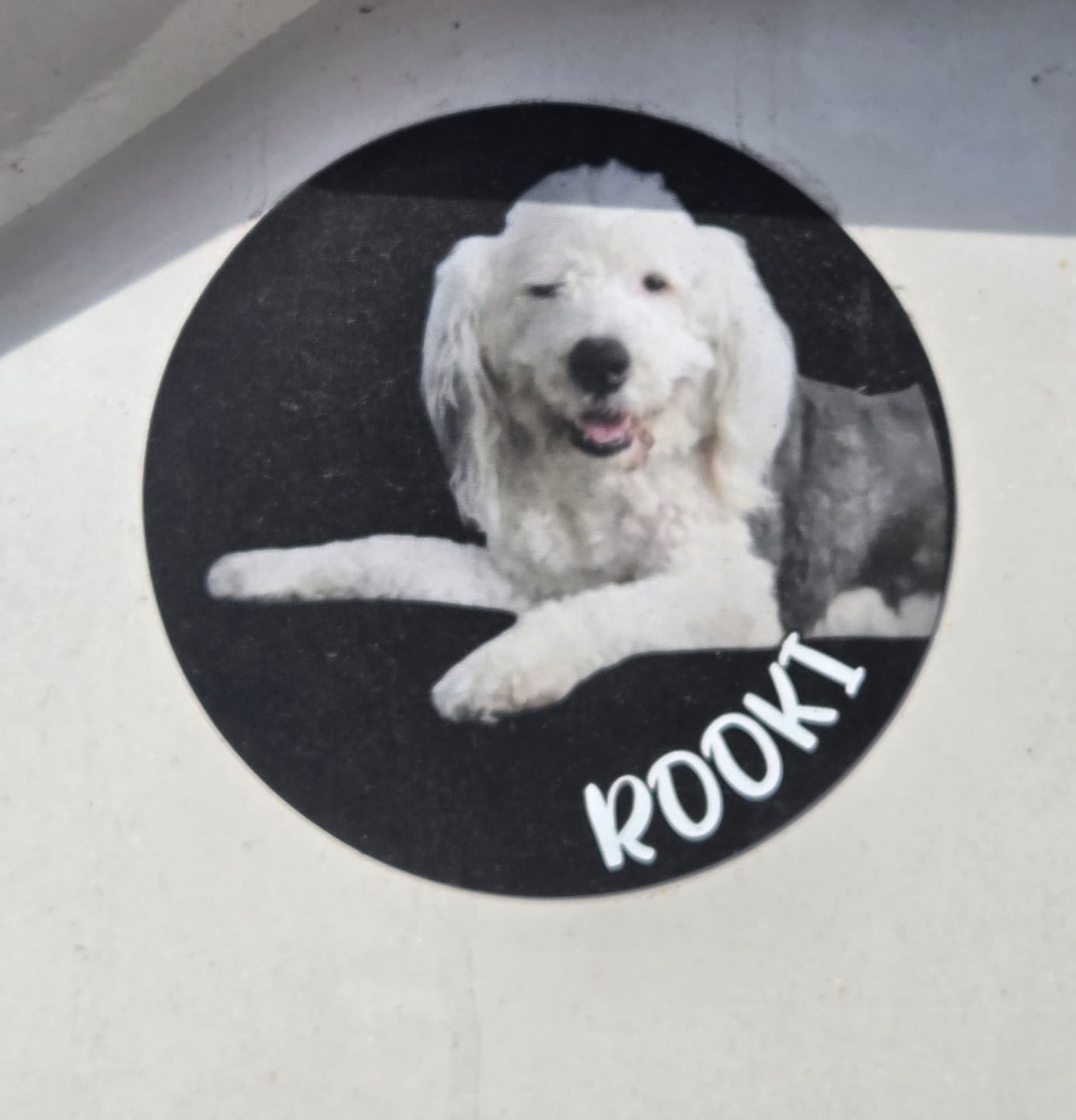 Customer photo review of Your photo - Personalized Car Magnet