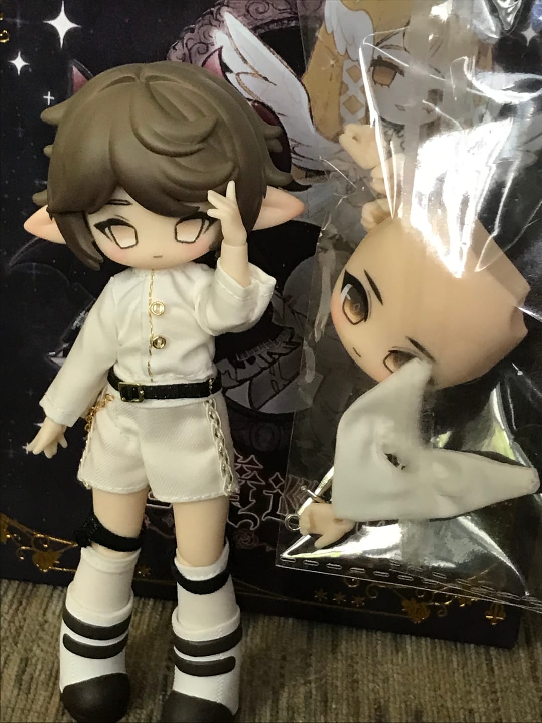 Customer photo review of Arcane Circuit 1/12 Action Figure BJD Blind Box