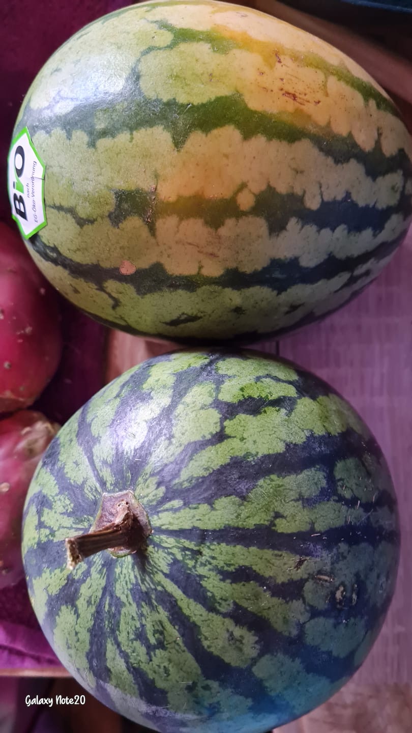 Customer photo review of Wassermelone Mini Bio 1 Stk.