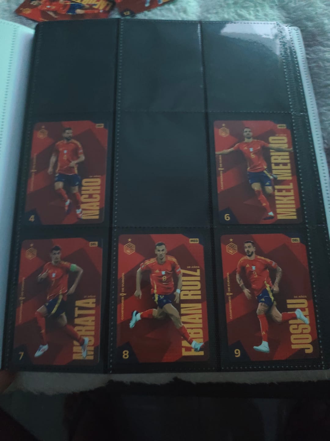Customer photo review of Álbum Cromos Oficial [Regalo por 5º pedido]