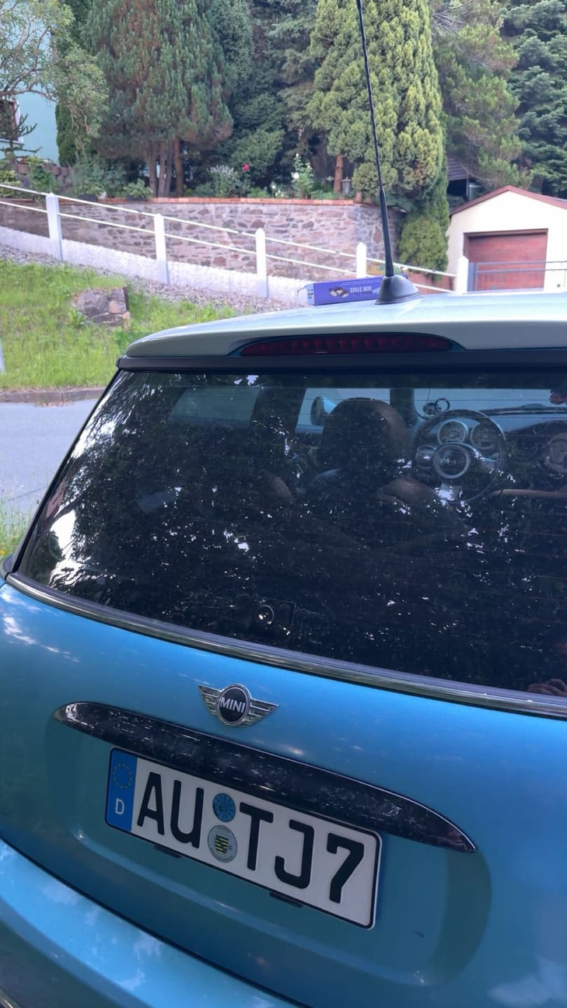 Customer photo review of Heckwischer Echtglas Stopfen | + Maße wählbar