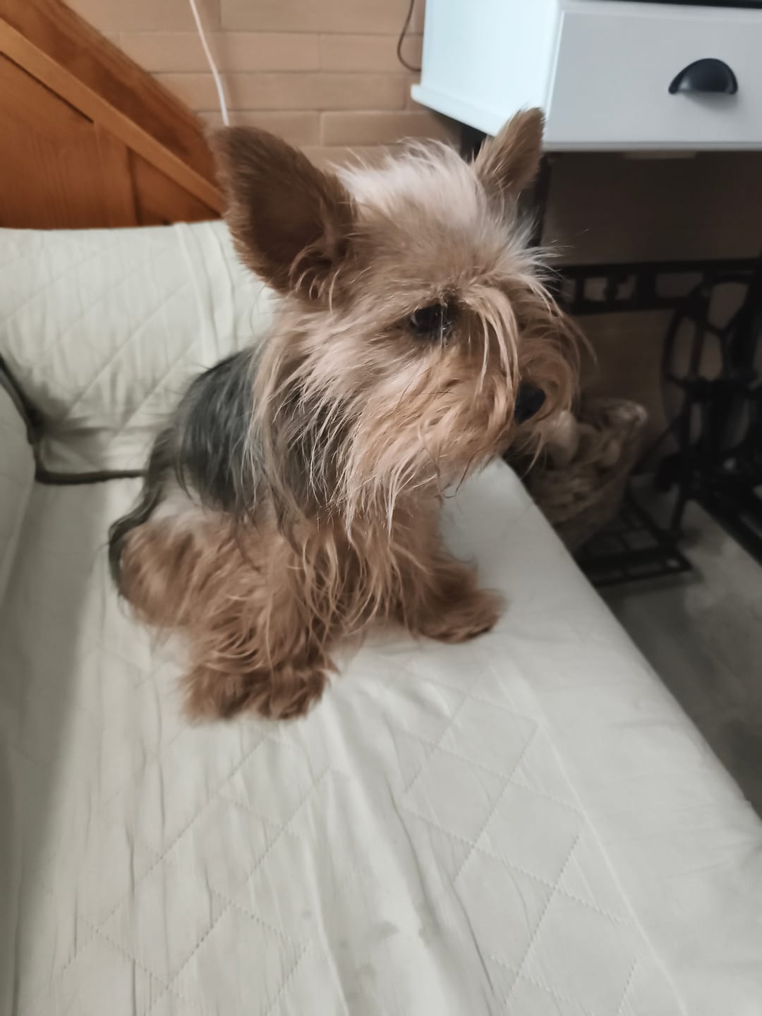 Customer photo review of Light