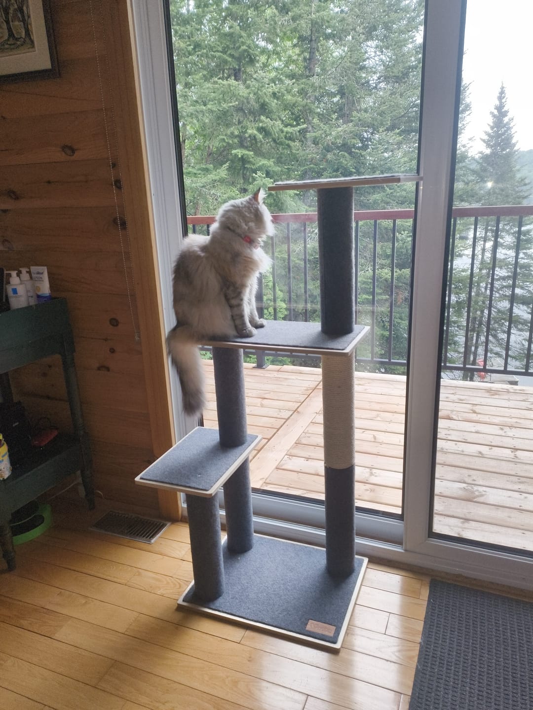 Customer photo review of Noba Modern Plywood 3-Level Cat Tree
