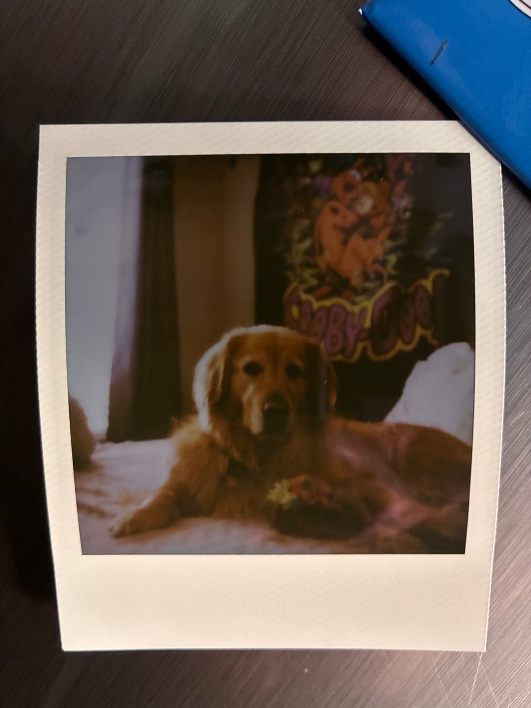 Customer photo review of Polaroid SX-70 Original Chrome Instant Camera