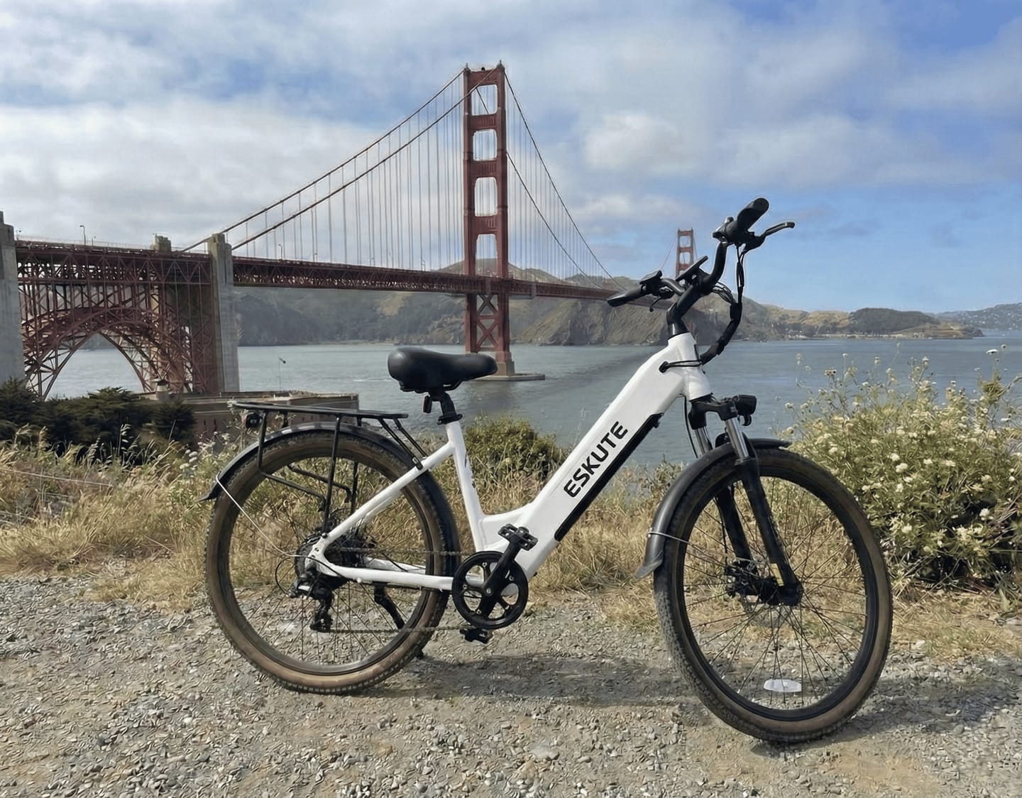 Customer photo review of Eskute® C200 ST City Commuter Electric Bike