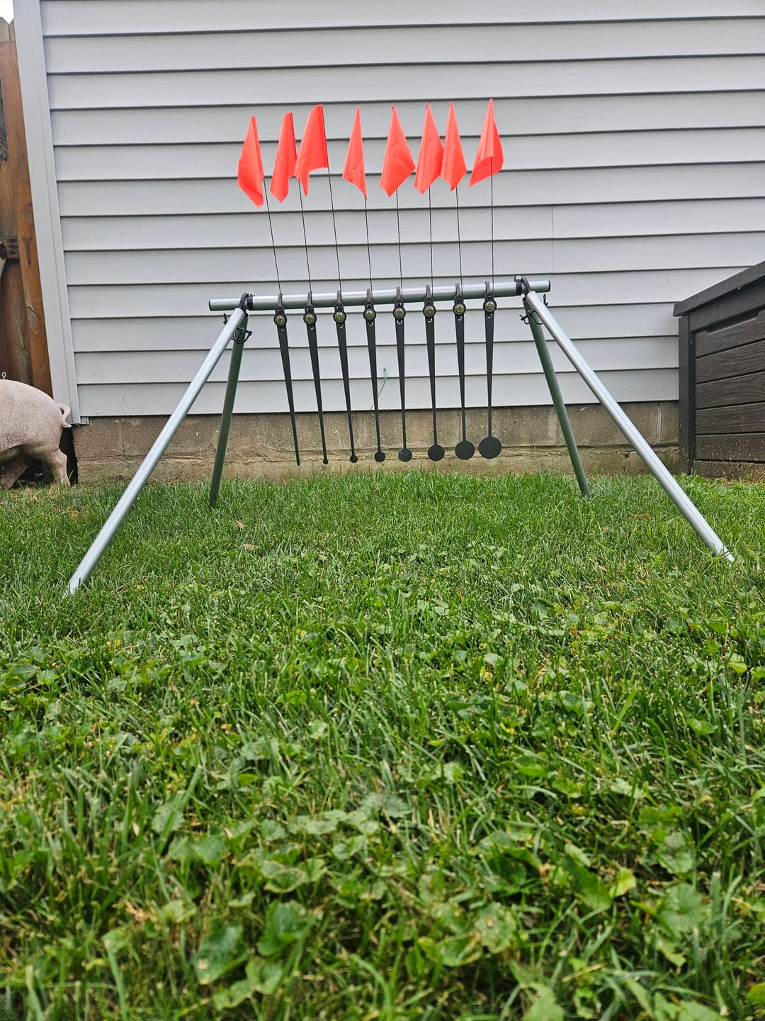 Customer photo review of Know Your Limits (KYL) Target System