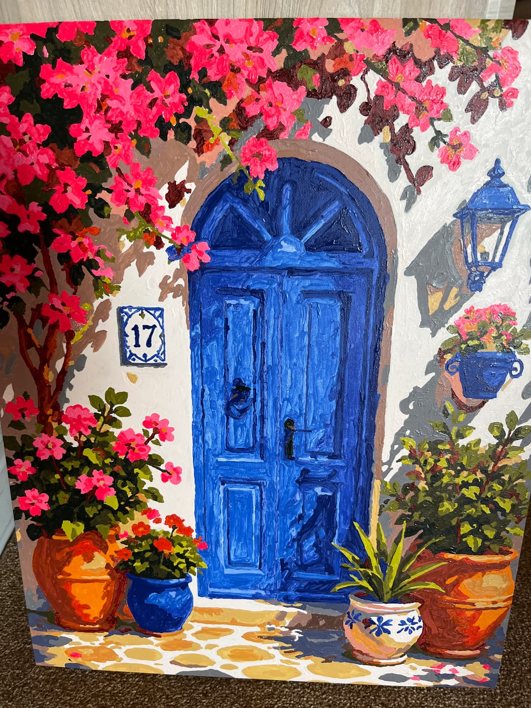 Customer photo review of Blue Mediterranean Door