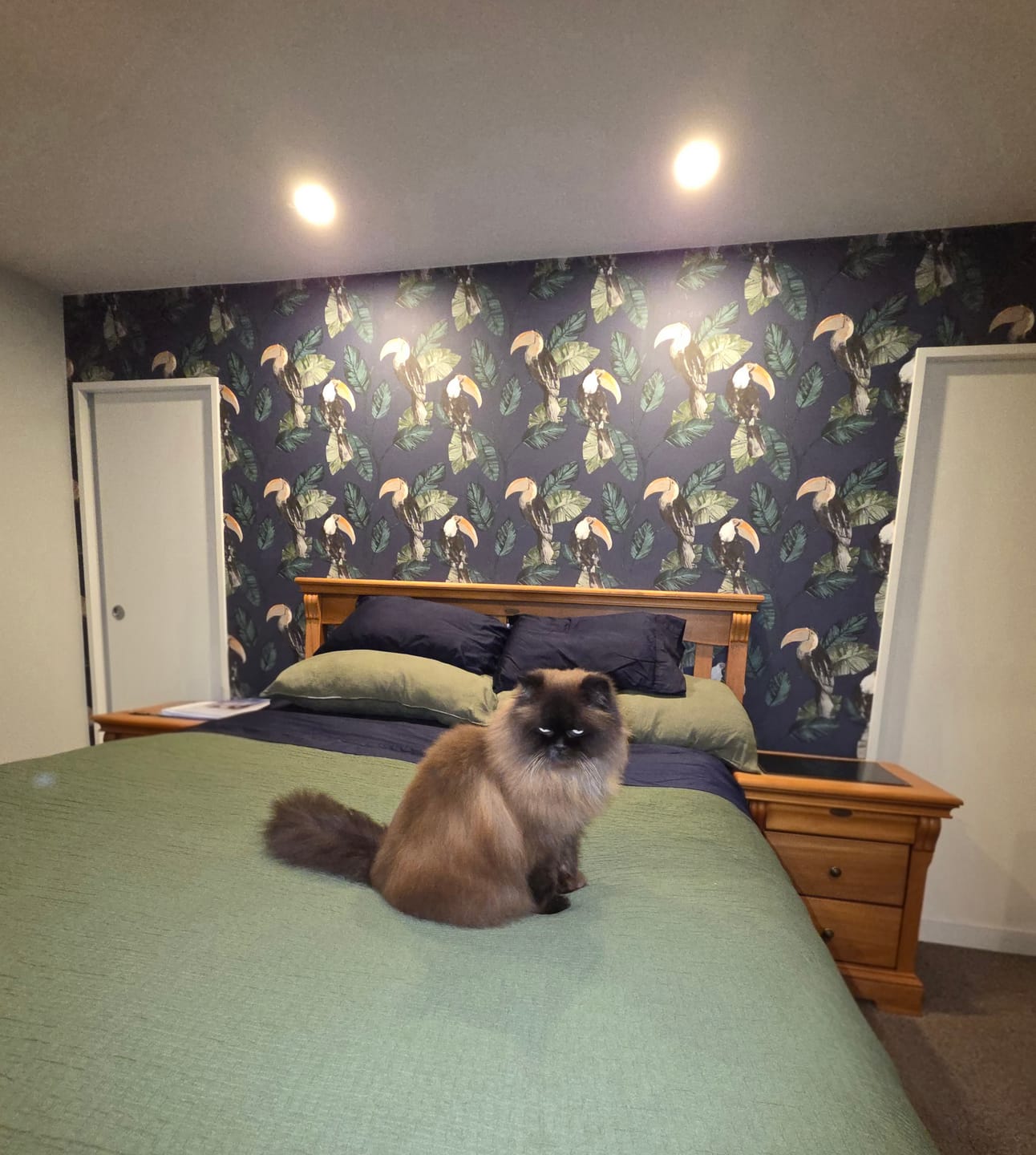 Customer photo review of Toucan Tiki Wallpaper - Navy - Last 40 Rolls