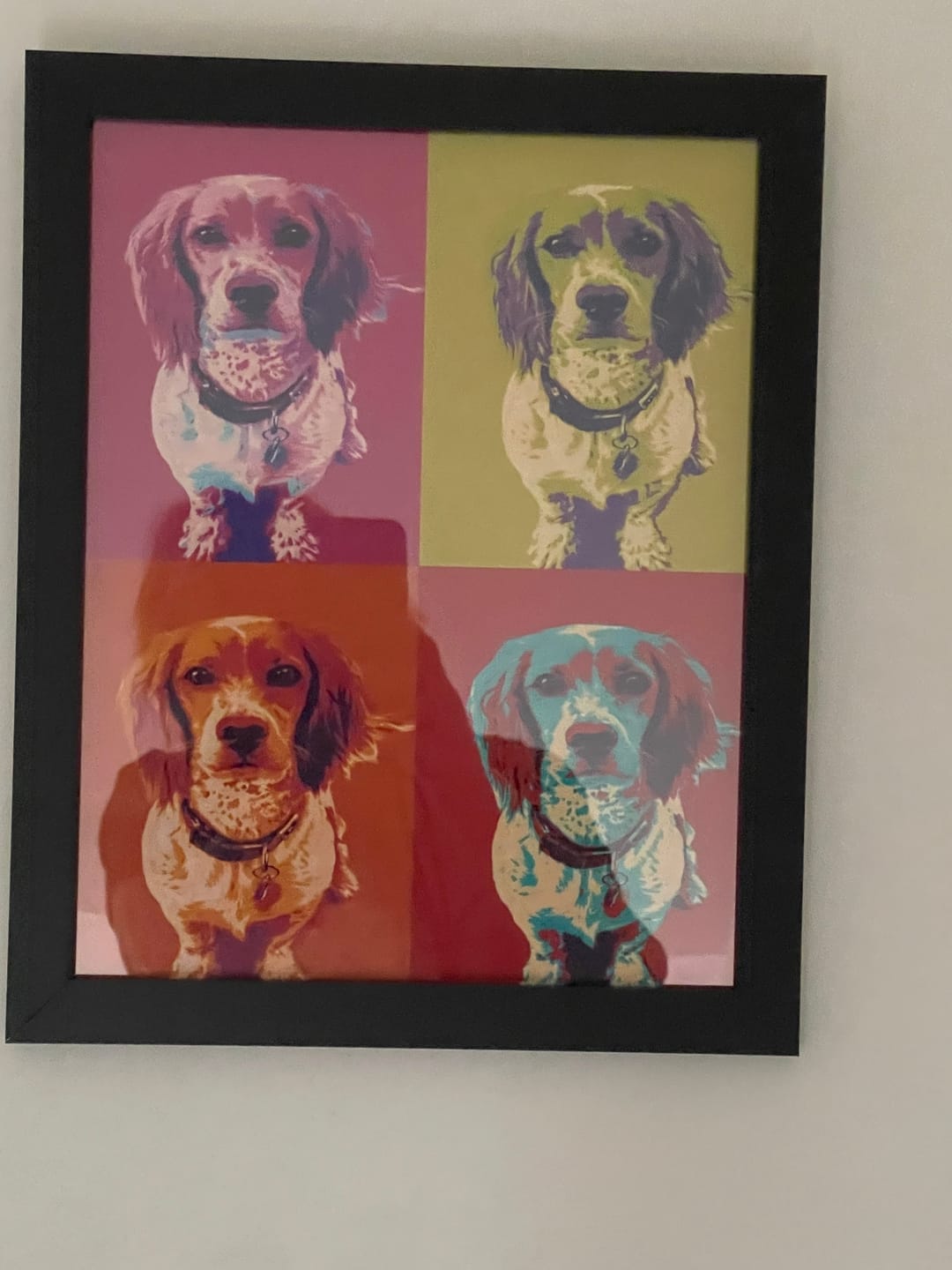 Customer photo review of Personalised Poster With Dog or Cat - Colour Squares
