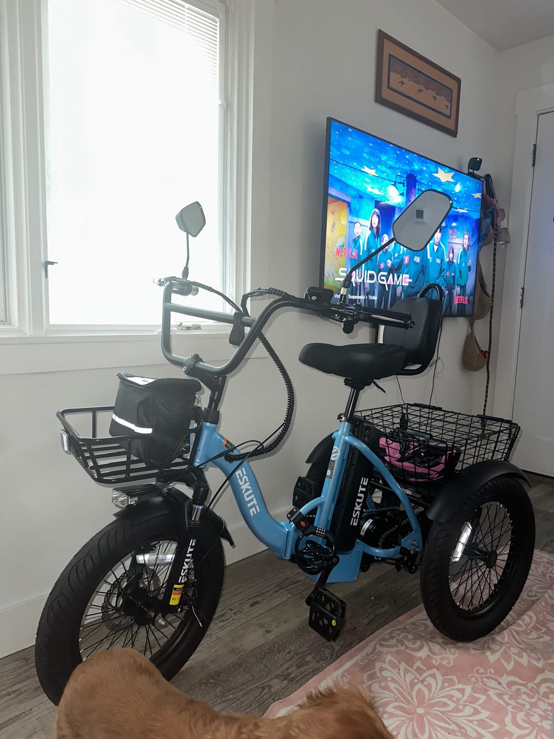 Customer photo review of Eskute® T300Pro Folding Electric Trike
