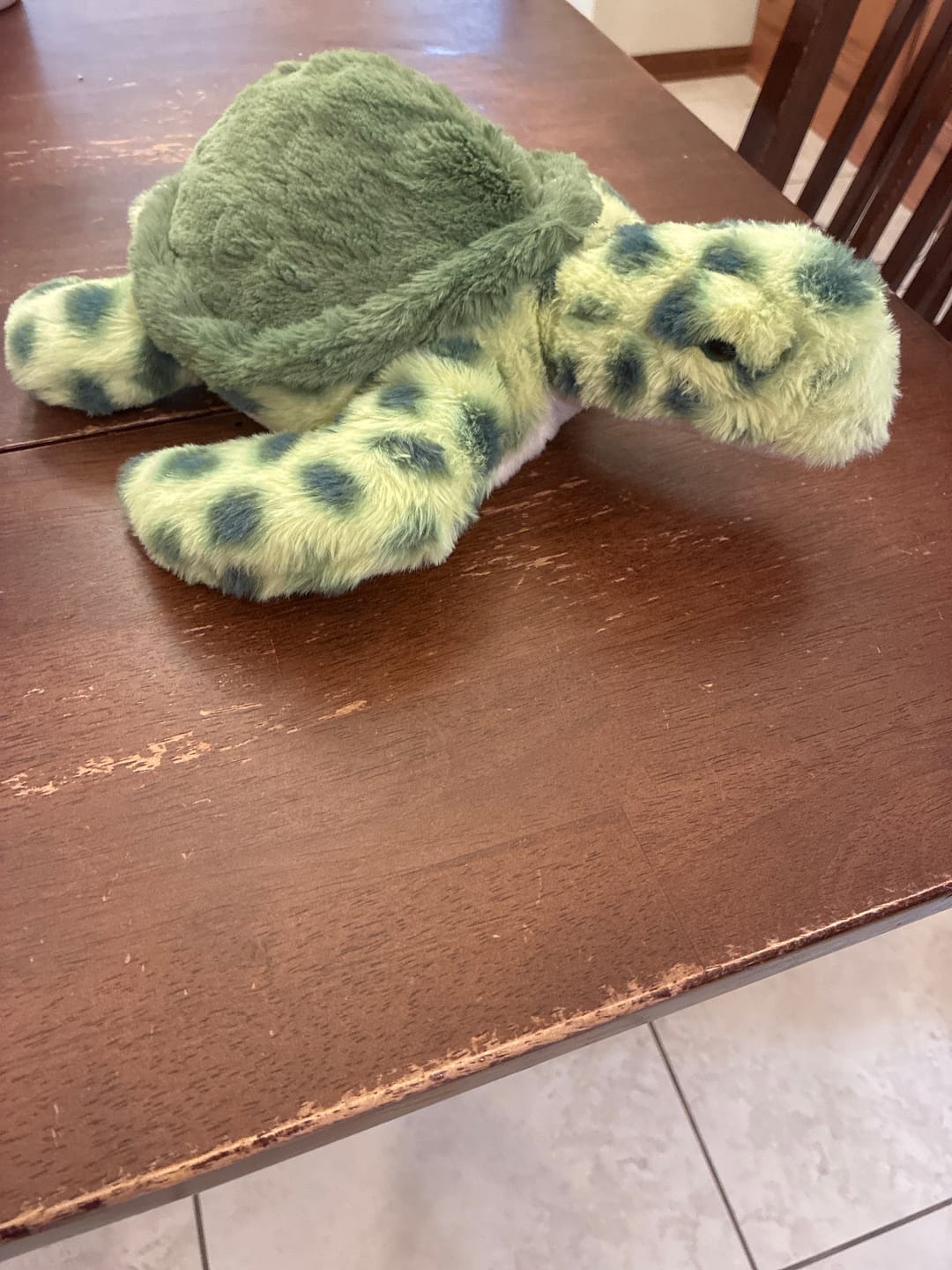 Customer photo review of The Voyage Plush