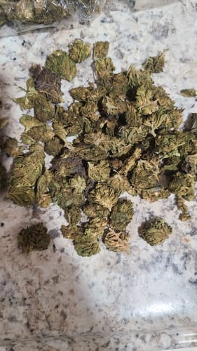 White Gelato - Bulk - Indica photo review