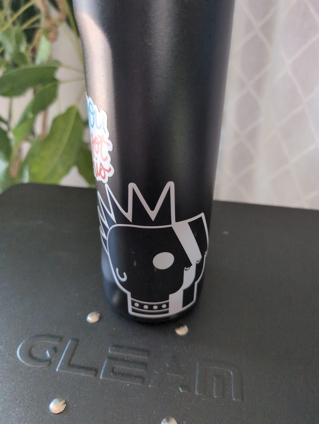 Customer photo review of PBS is Punk Die-cut Sticker
