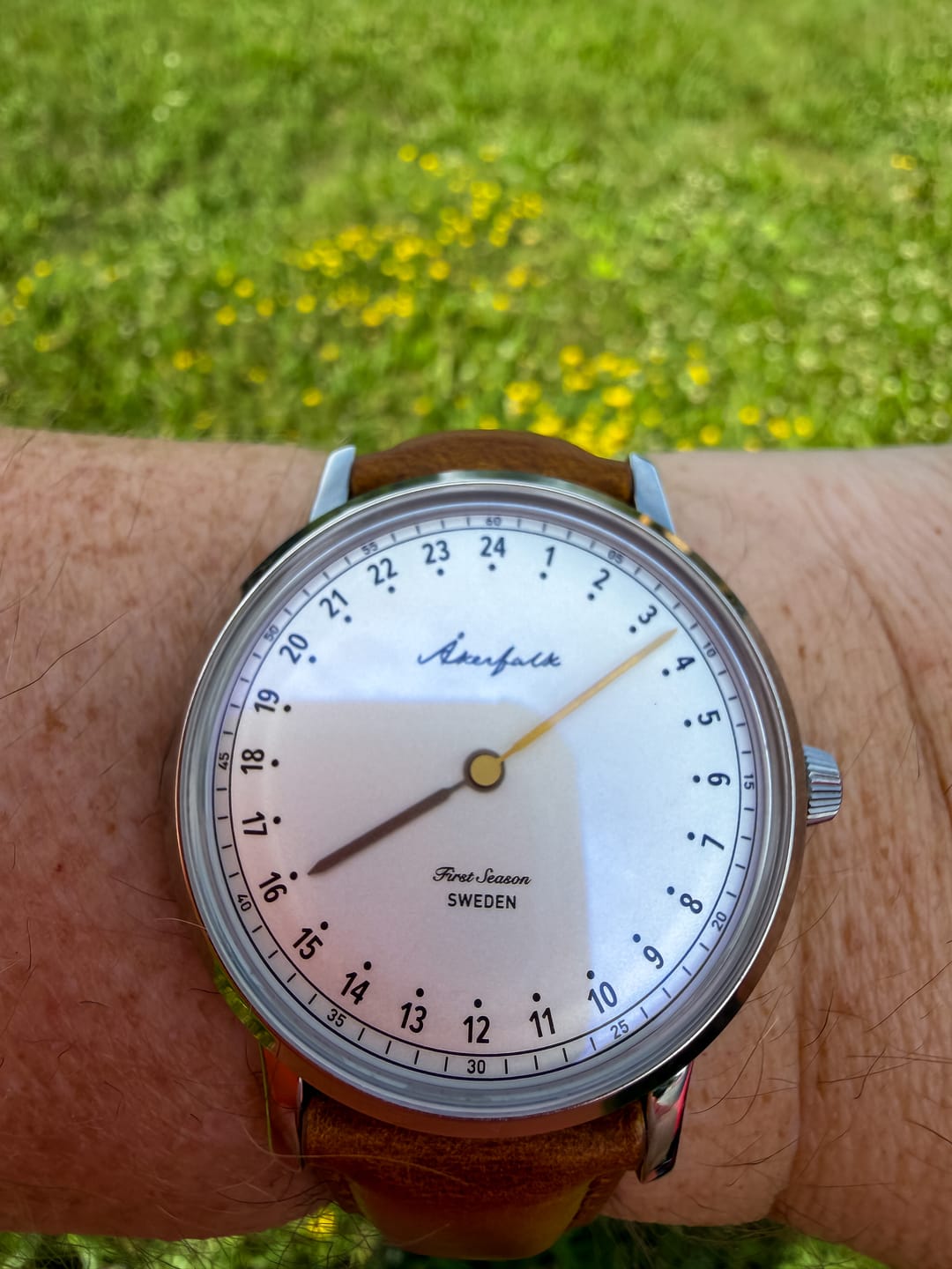 Customer photo review of First Season Silver White with Lt Brown Leather