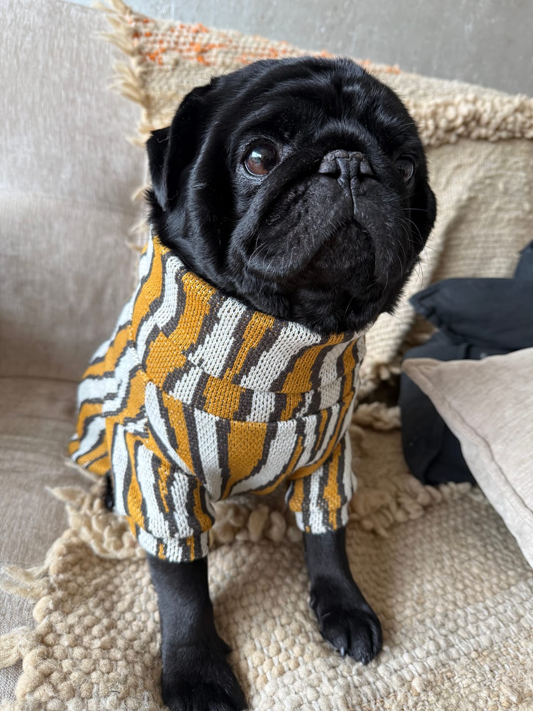 Customer photo review of Chaleco Zebra Mostaza