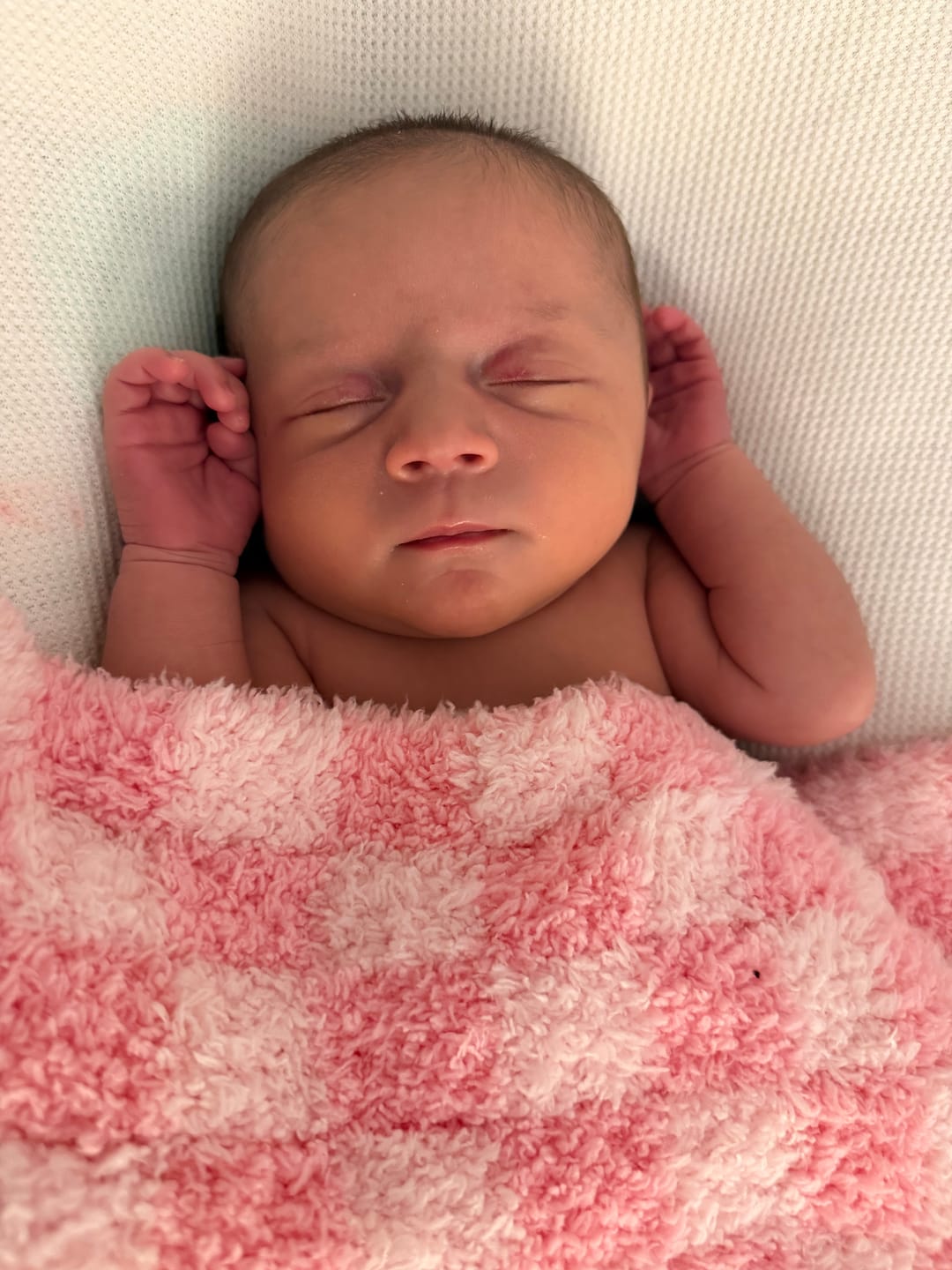 Customer photo review of Cotton Candy Check Print Lovey