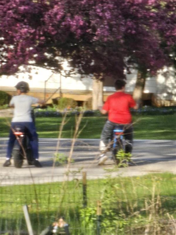 Customer photo review of Eskute® V100 16*4.0" Electric Bike for Kids&Teens