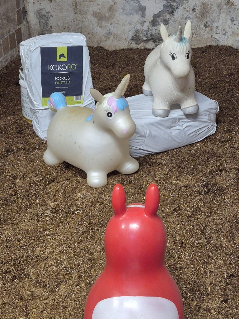 Customer photo review of KOKORO® Pferdeeinstreu