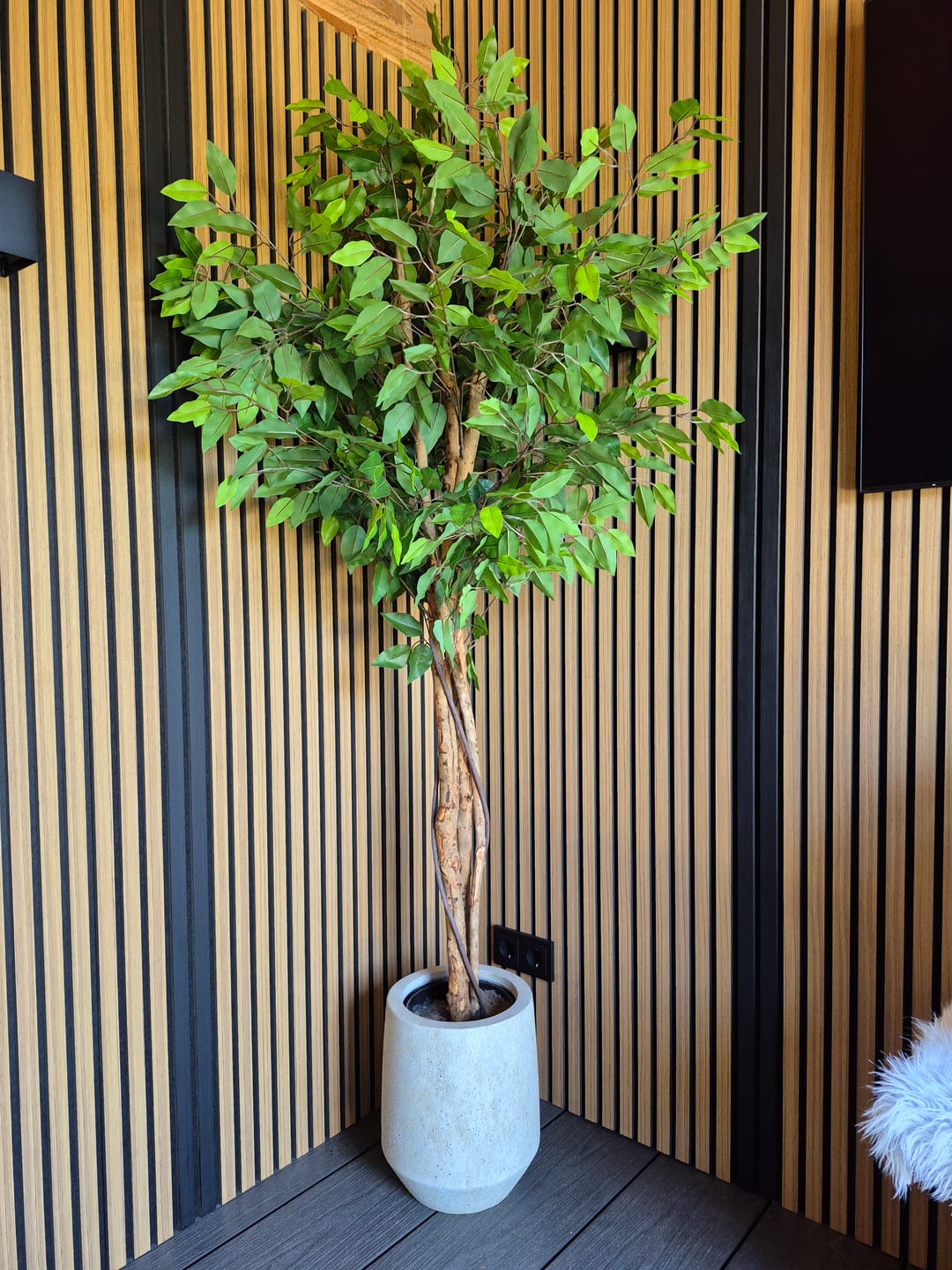 Customer photo review of Ficus Kunstplant 180cm